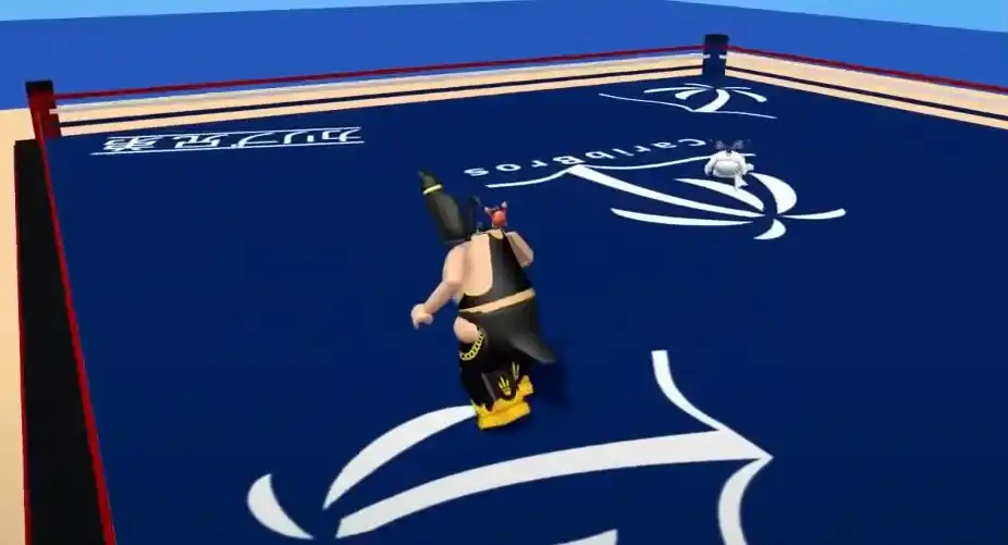 Working Fat Simulator codes