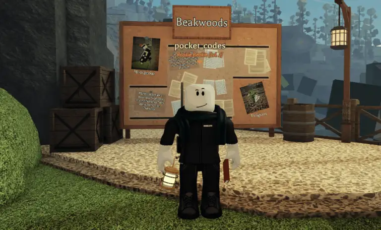 Beaks Codes