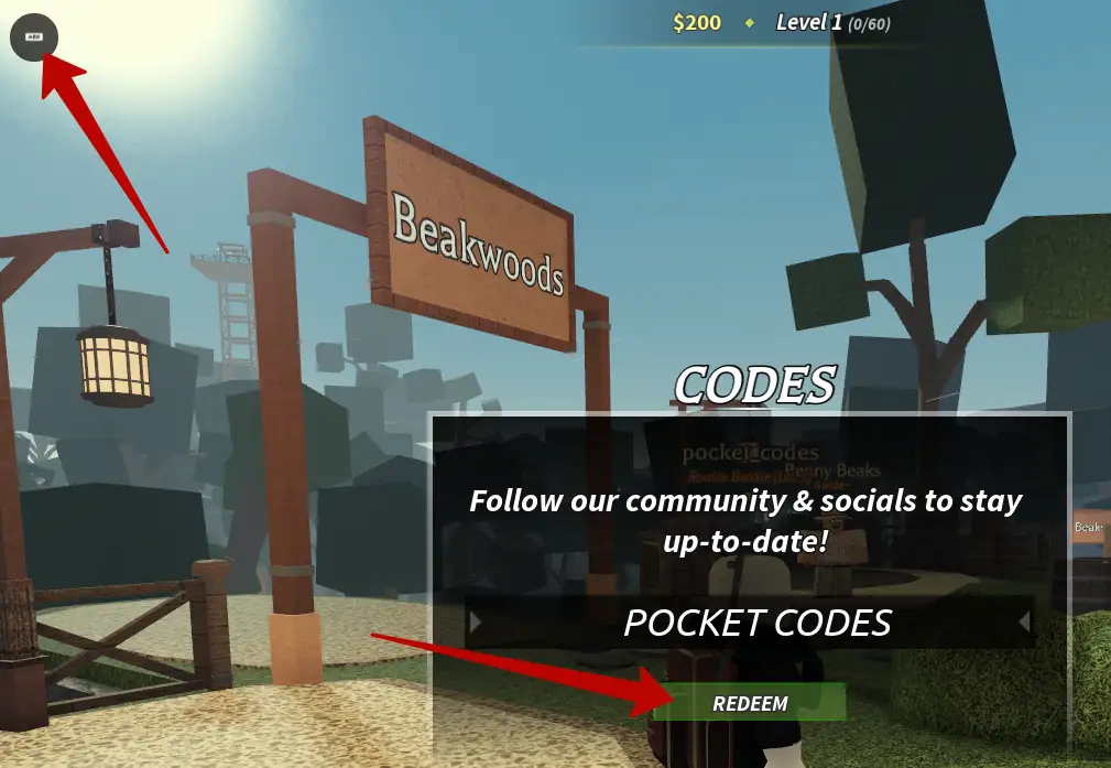 How to redeem Beaks codes?